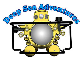 Deep Sea Adventure  Logo Design 207-385-1661