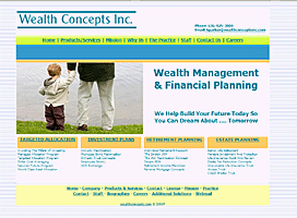 Wealth Planner Financial Industry website design services