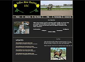 Equine Horse website design services